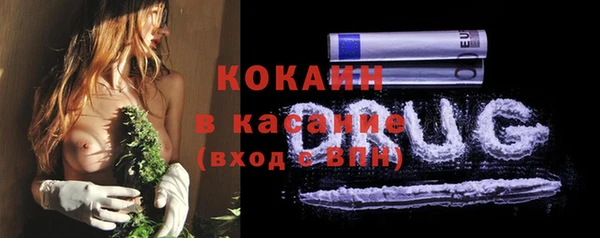 PSILOCYBIN Горно-Алтайск