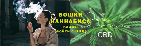 бошки Горнозаводск