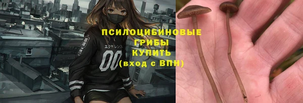 PSILOCYBIN Горно-Алтайск