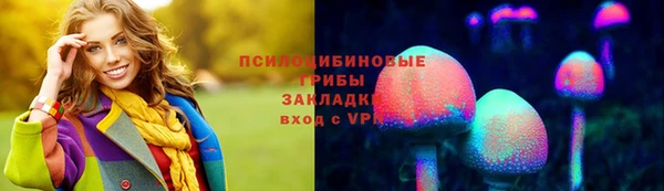 гидра Вязники