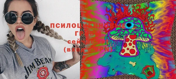 PSILOCYBIN Горно-Алтайск