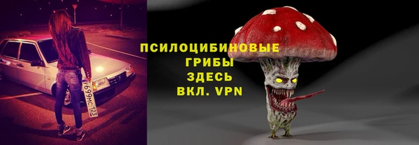 прущие грибы Верея