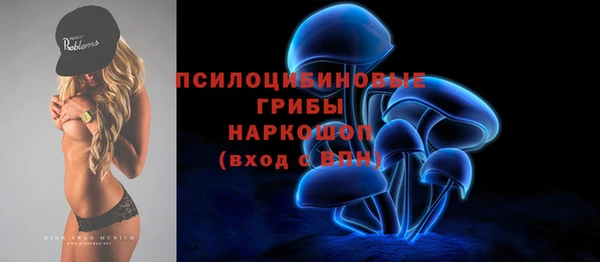 бошки Горнозаводск