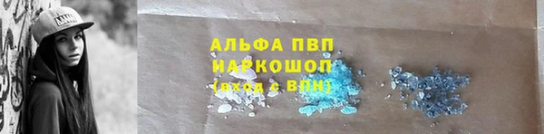 стафф Володарск