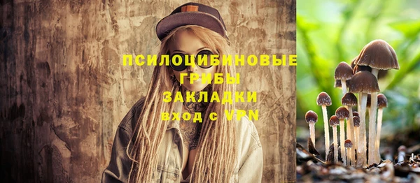МДПВ Вяземский