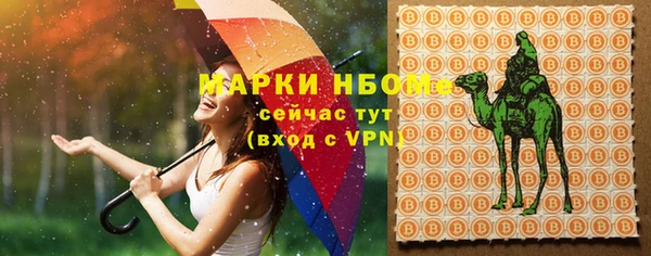 МДПВ Вяземский