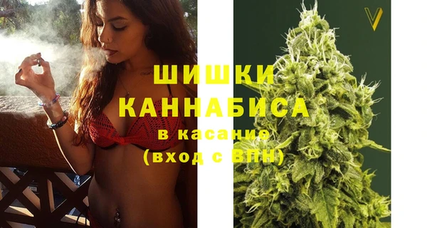 PSILOCYBIN Горно-Алтайск