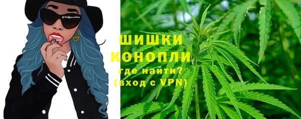 PSILOCYBIN Горно-Алтайск